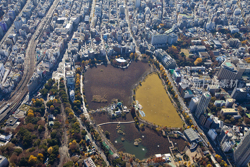 东京上野公园Shinobazu Pond鸟瞰图